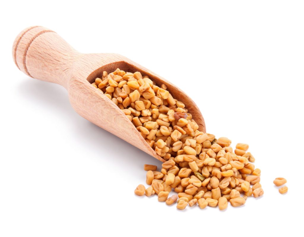 Fenugreek Manufacturer