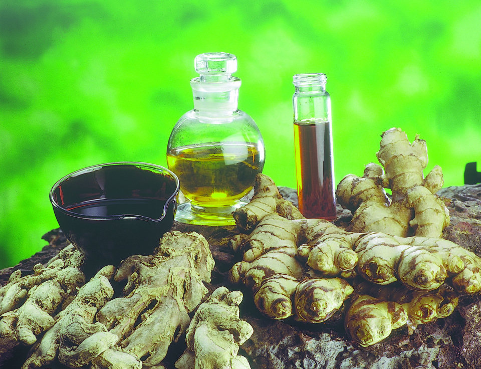 Ginger Oleoresin