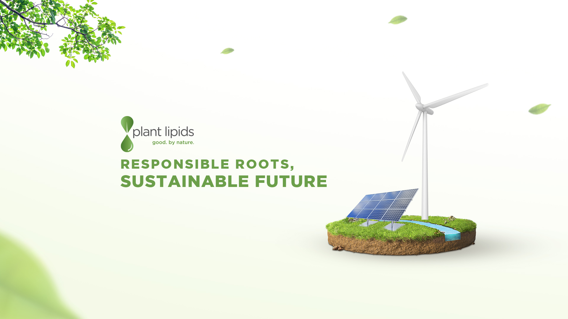 Plant Lipids Sustainability