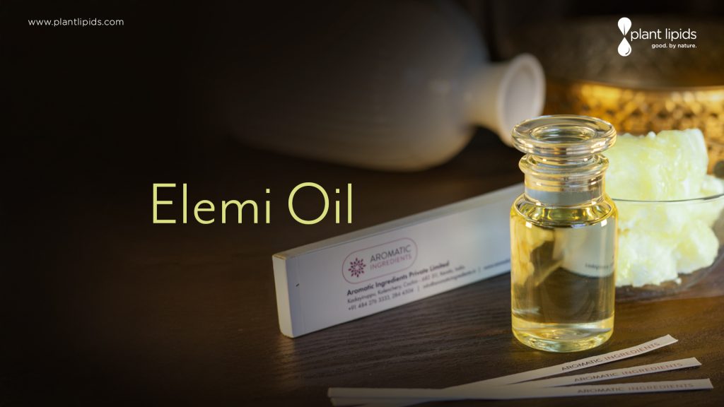Elemi Oil Manufacturer