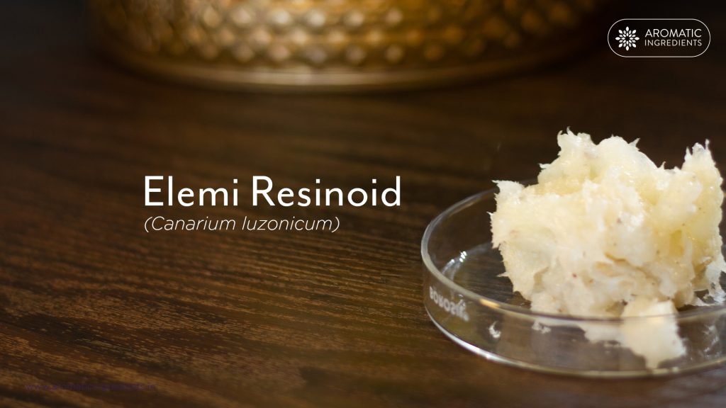 Elemi Resinoid Manufacturer